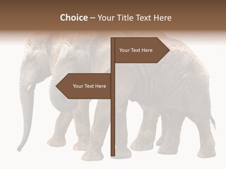 Big Photo Skin PowerPoint Template