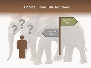 Big Photo Skin PowerPoint Template