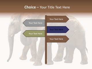 Big Photo Skin PowerPoint Template