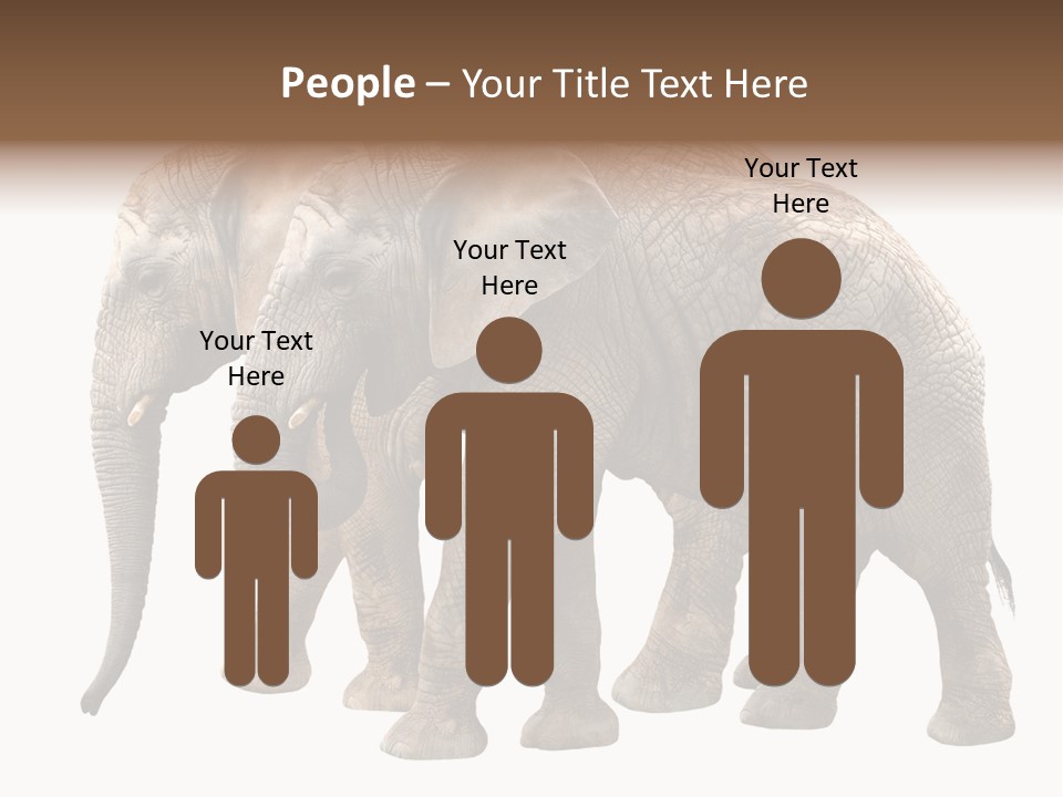 Big Photo Skin PowerPoint Template