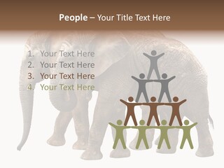 Big Photo Skin PowerPoint Template