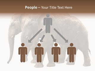 Big Photo Skin PowerPoint Template