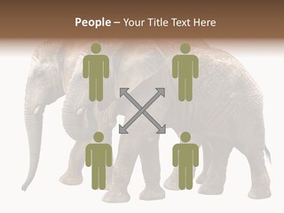 Big Photo Skin PowerPoint Template