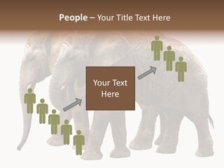 Big Photo Skin PowerPoint Template