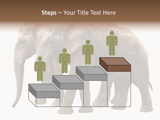 Big Photo Skin PowerPoint Template