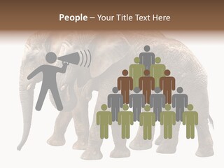 Big Photo Skin PowerPoint Template