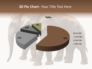 Big Photo Skin PowerPoint Template