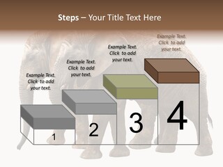 Big Photo Skin PowerPoint Template