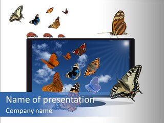 Modern Schmetterlinge Lcd PowerPoint Template