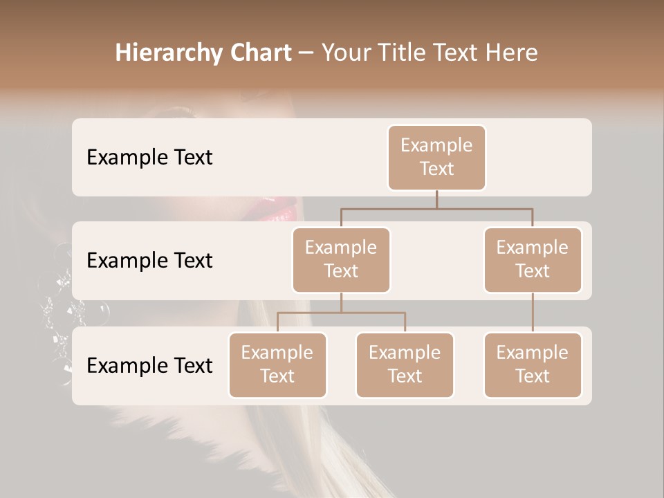 Fluffy Black Atractive PowerPoint Template