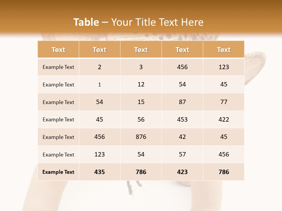 Pretty Joy One PowerPoint Template