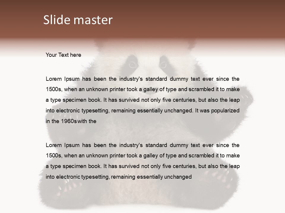 Cuddly China Ursidae PowerPoint Template