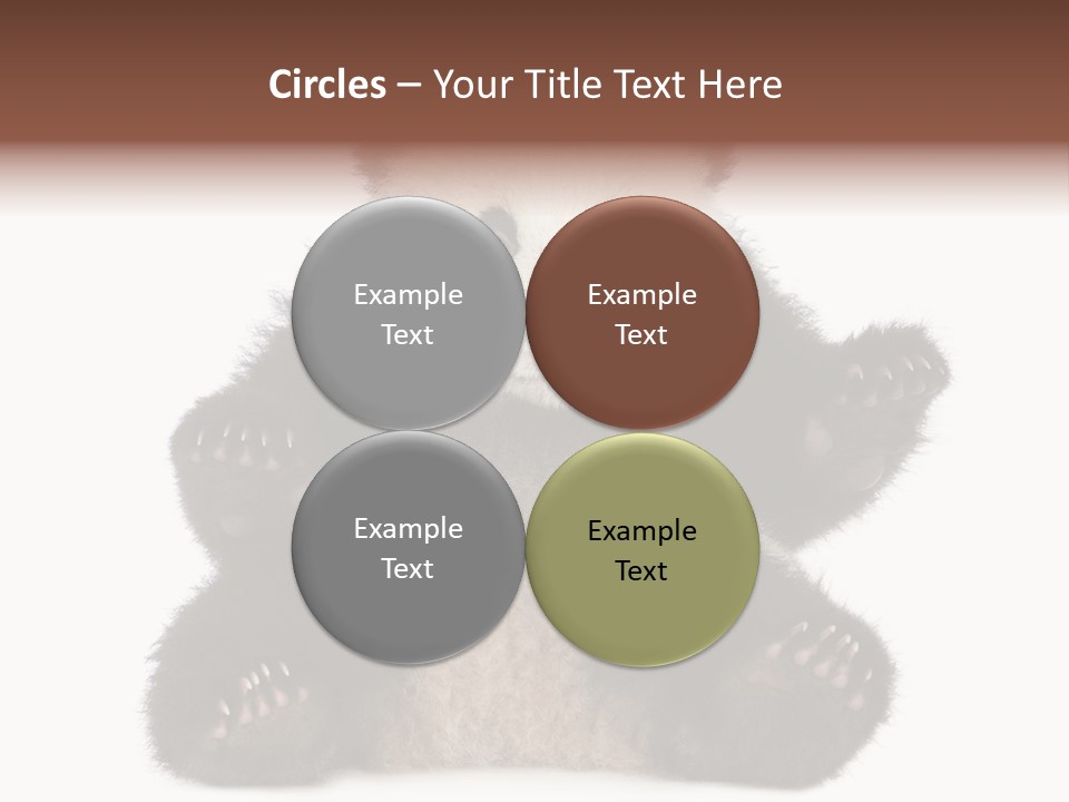 Cuddly China Ursidae PowerPoint Template