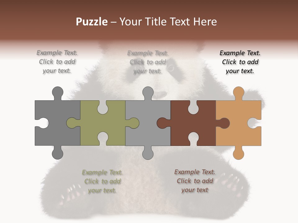 Cuddly China Ursidae PowerPoint Template