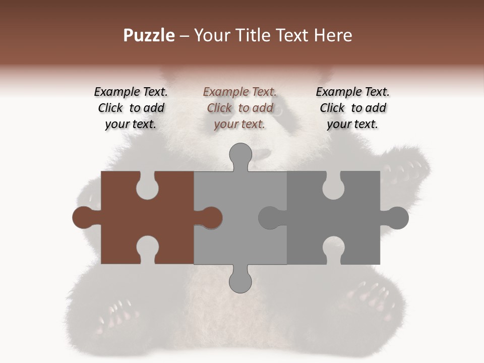 Cuddly China Ursidae PowerPoint Template