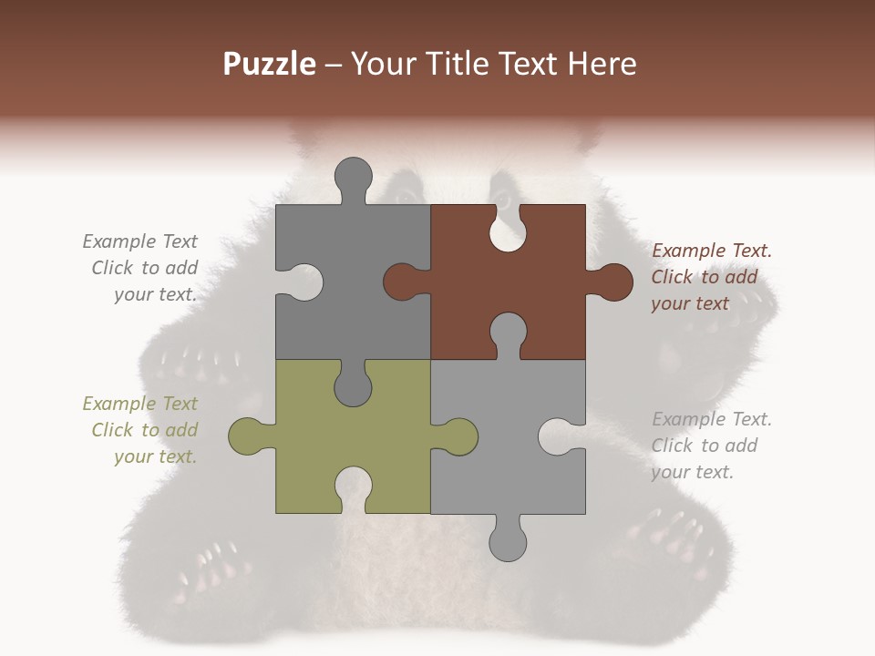 Cuddly China Ursidae PowerPoint Template