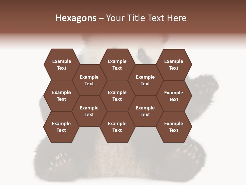 Cuddly China Ursidae PowerPoint Template