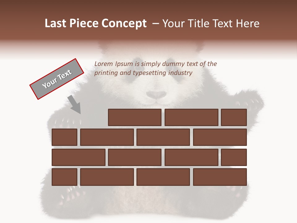 Cuddly China Ursidae PowerPoint Template