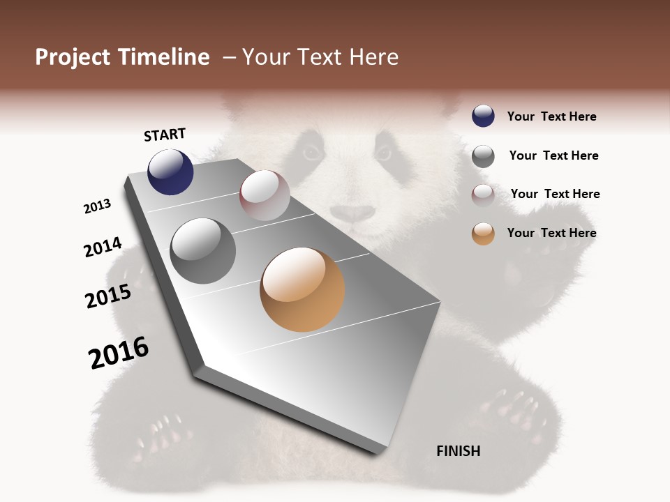 Cuddly China Ursidae PowerPoint Template