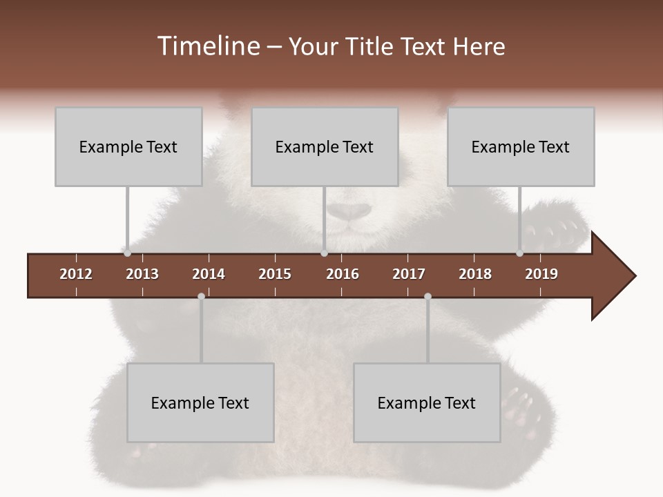 Cuddly China Ursidae PowerPoint Template