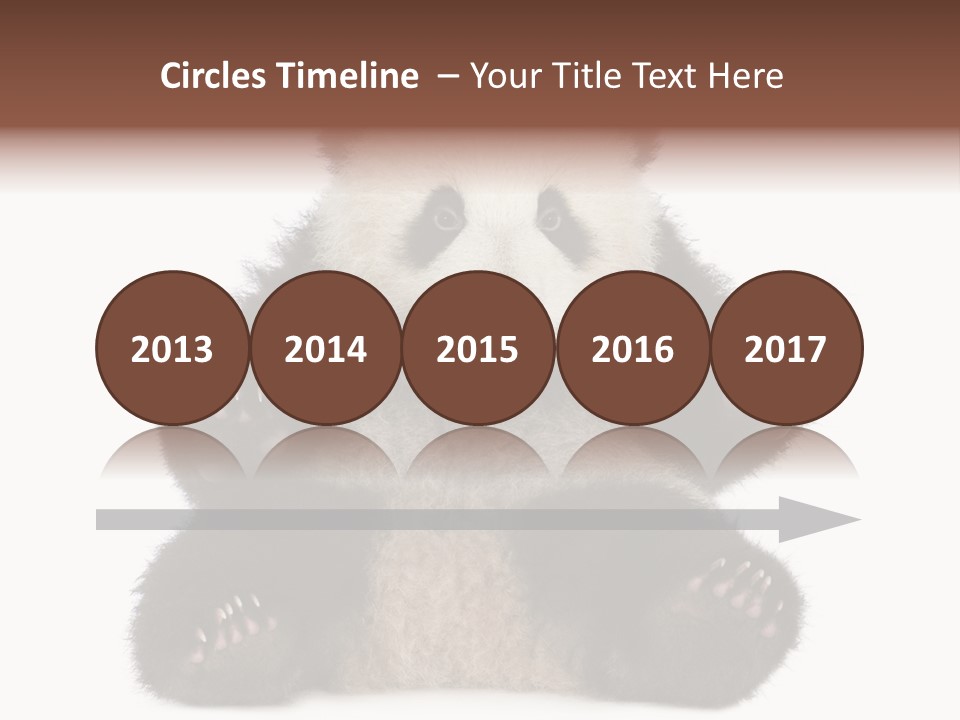 Cuddly China Ursidae PowerPoint Template