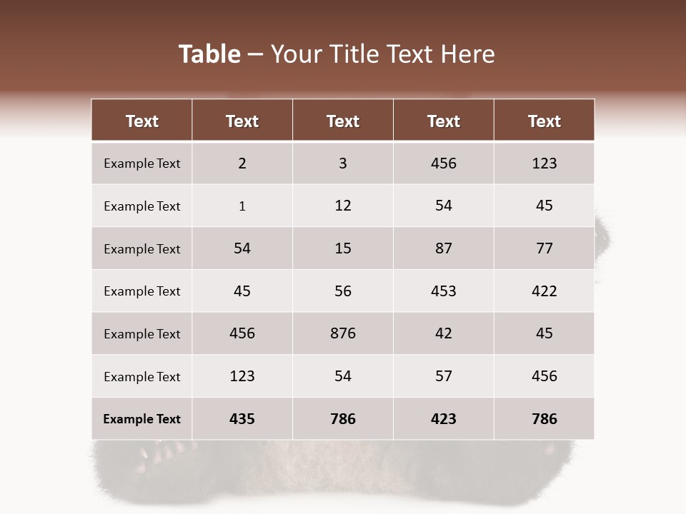 Cuddly China Ursidae PowerPoint Template