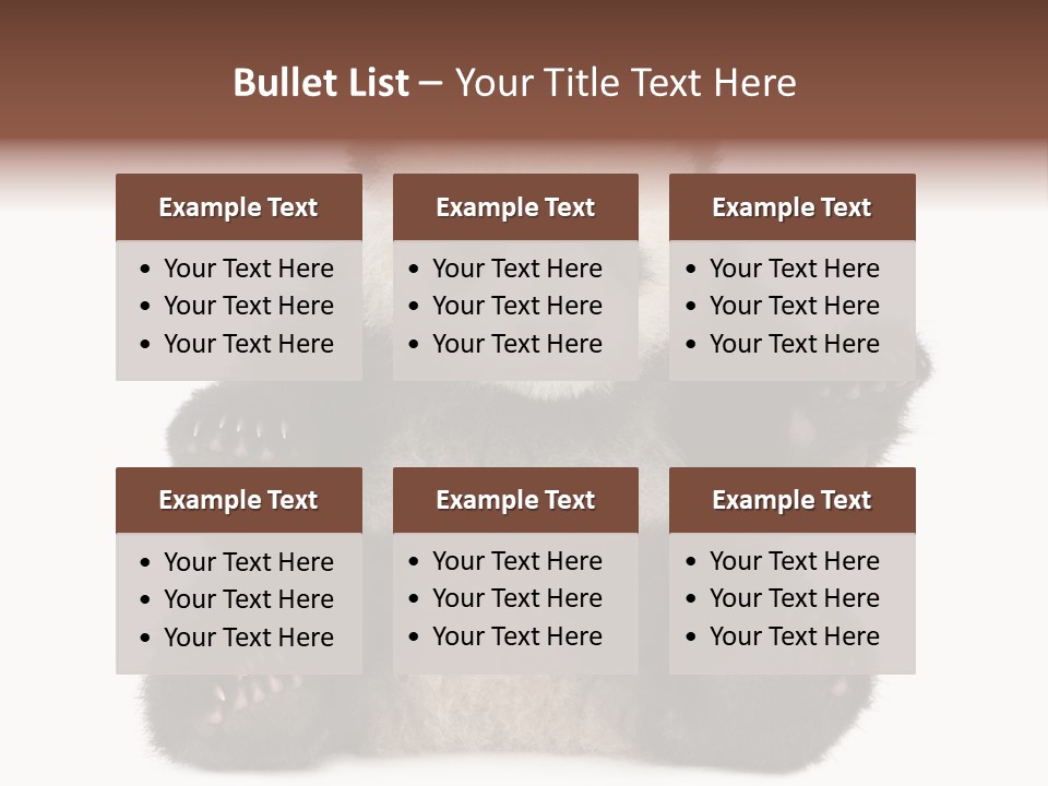 Cuddly China Ursidae PowerPoint Template
