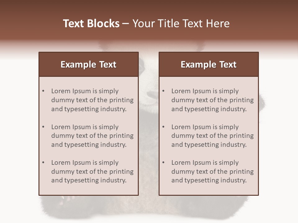 Cuddly China Ursidae PowerPoint Template