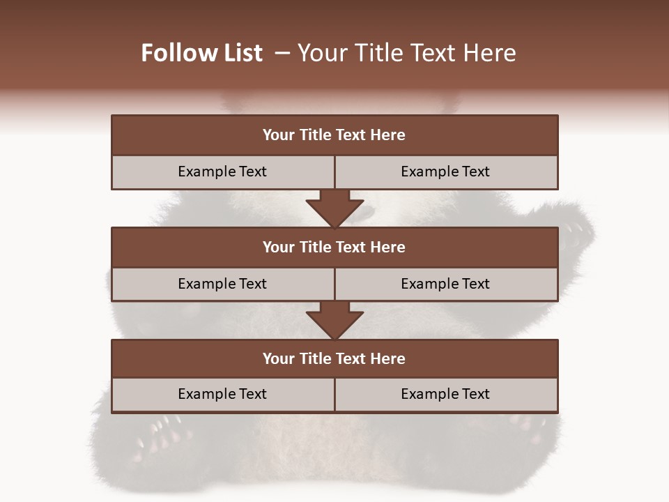 Cuddly China Ursidae PowerPoint Template