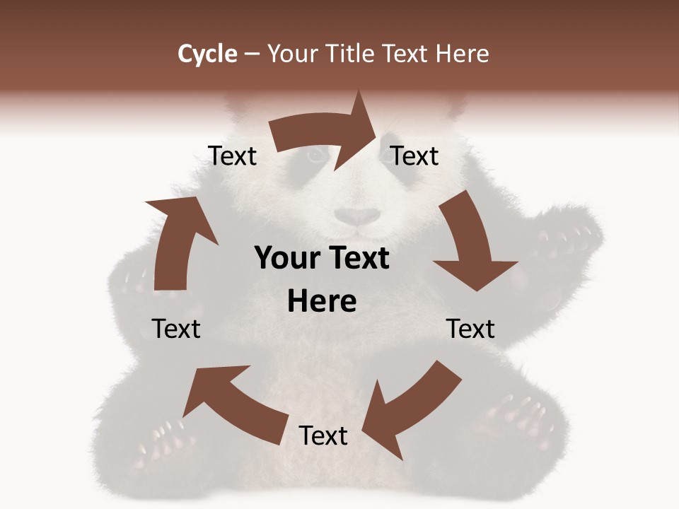 Cuddly China Ursidae PowerPoint Template