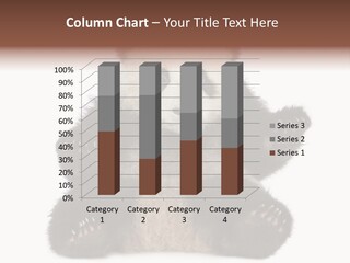 Cuddly China Ursidae PowerPoint Template