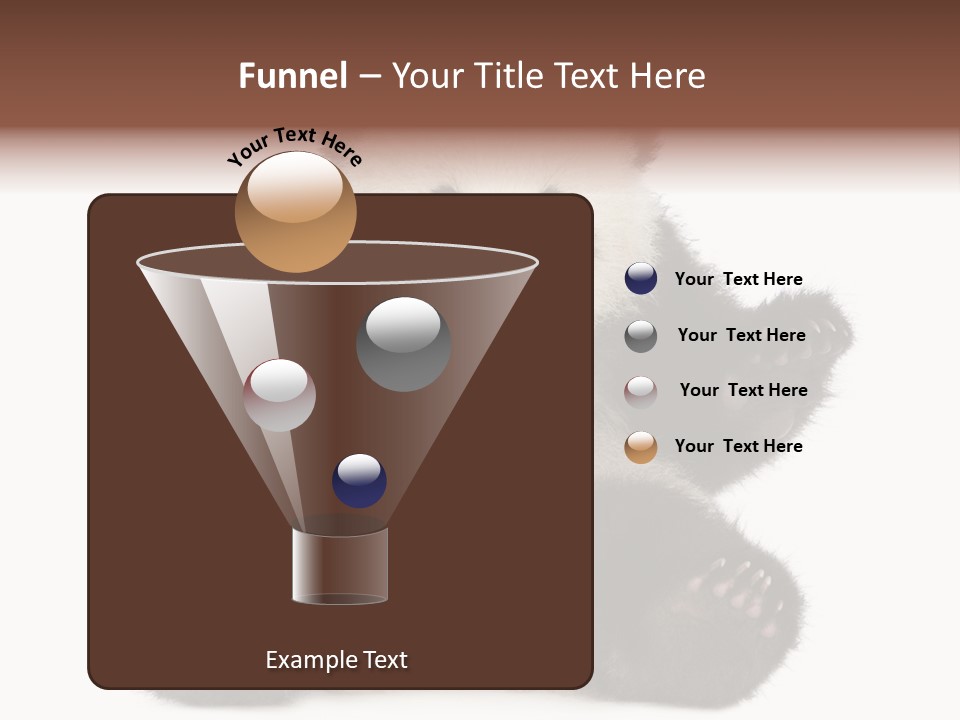 Cuddly China Ursidae PowerPoint Template