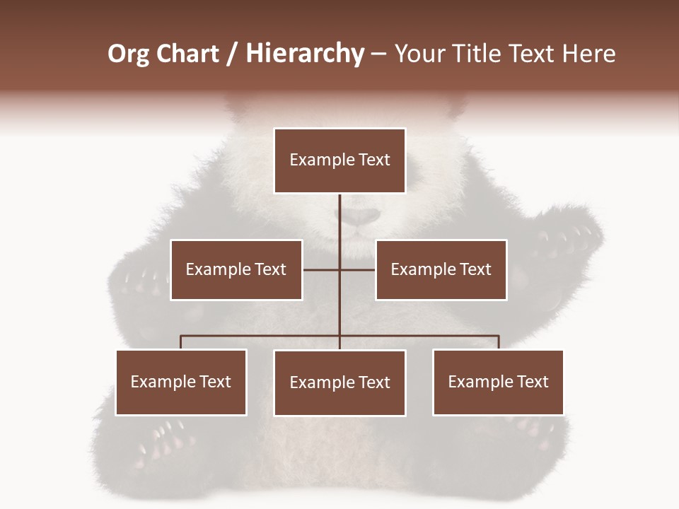 Cuddly China Ursidae PowerPoint Template