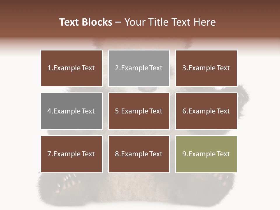 Cuddly China Ursidae PowerPoint Template