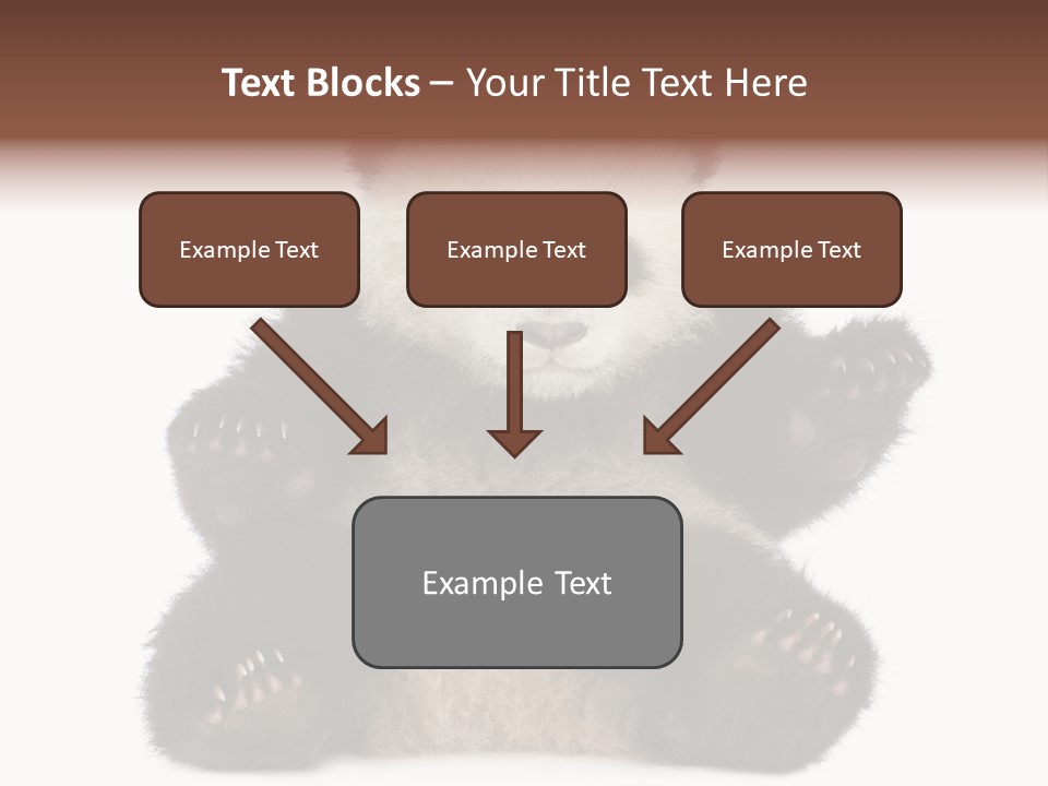 Cuddly China Ursidae PowerPoint Template