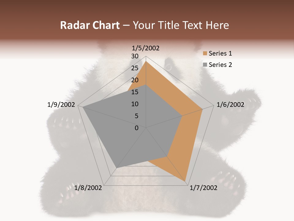 Cuddly China Ursidae PowerPoint Template