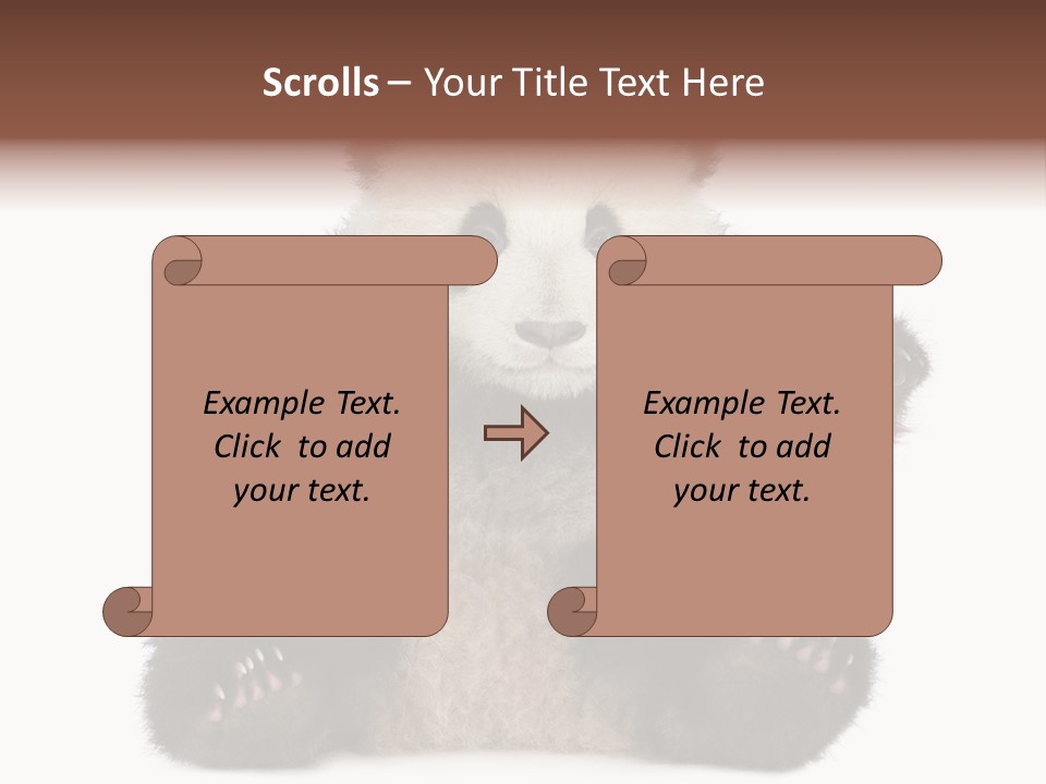 Cuddly China Ursidae PowerPoint Template