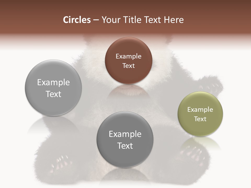 Cuddly China Ursidae PowerPoint Template