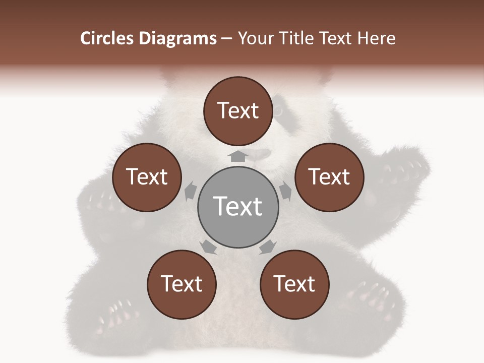 Cuddly China Ursidae PowerPoint Template