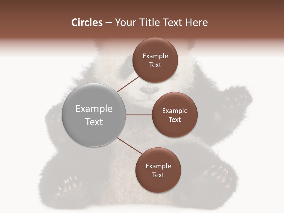 Cuddly China Ursidae PowerPoint Template