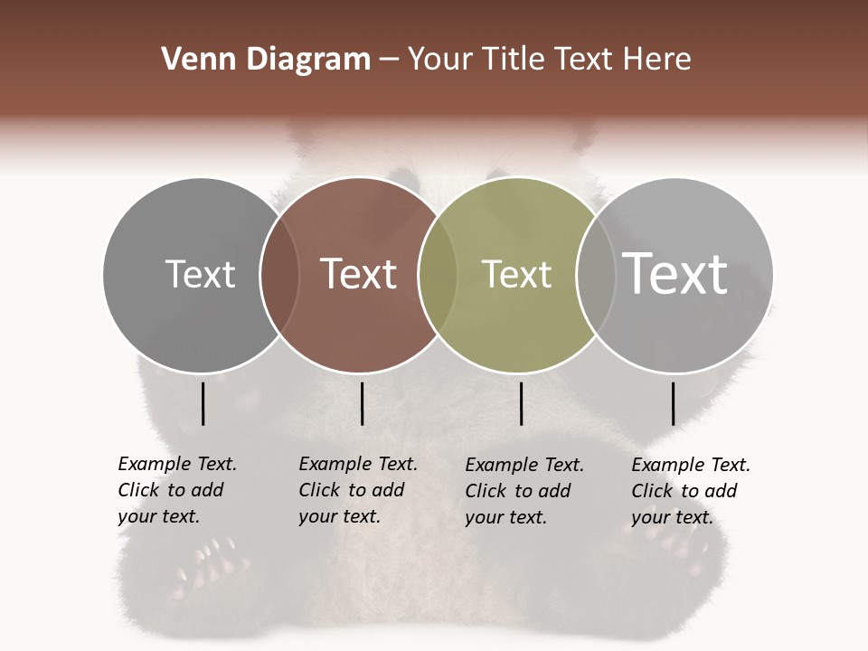 Cuddly China Ursidae PowerPoint Template