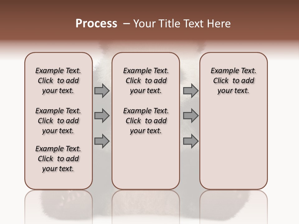 Cuddly China Ursidae PowerPoint Template