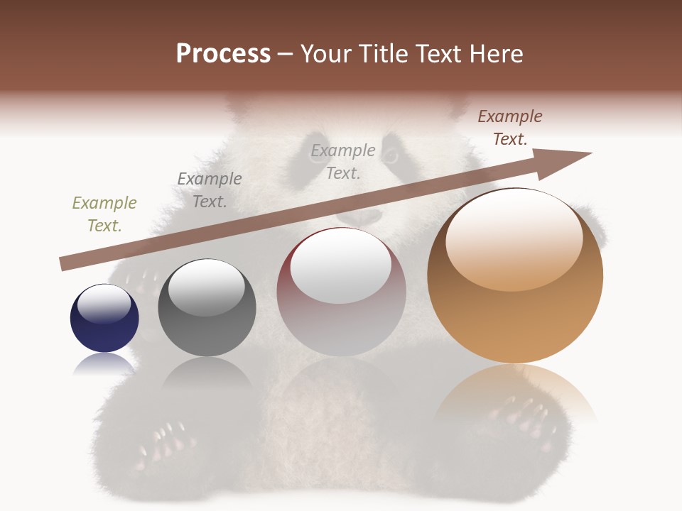 Cuddly China Ursidae PowerPoint Template