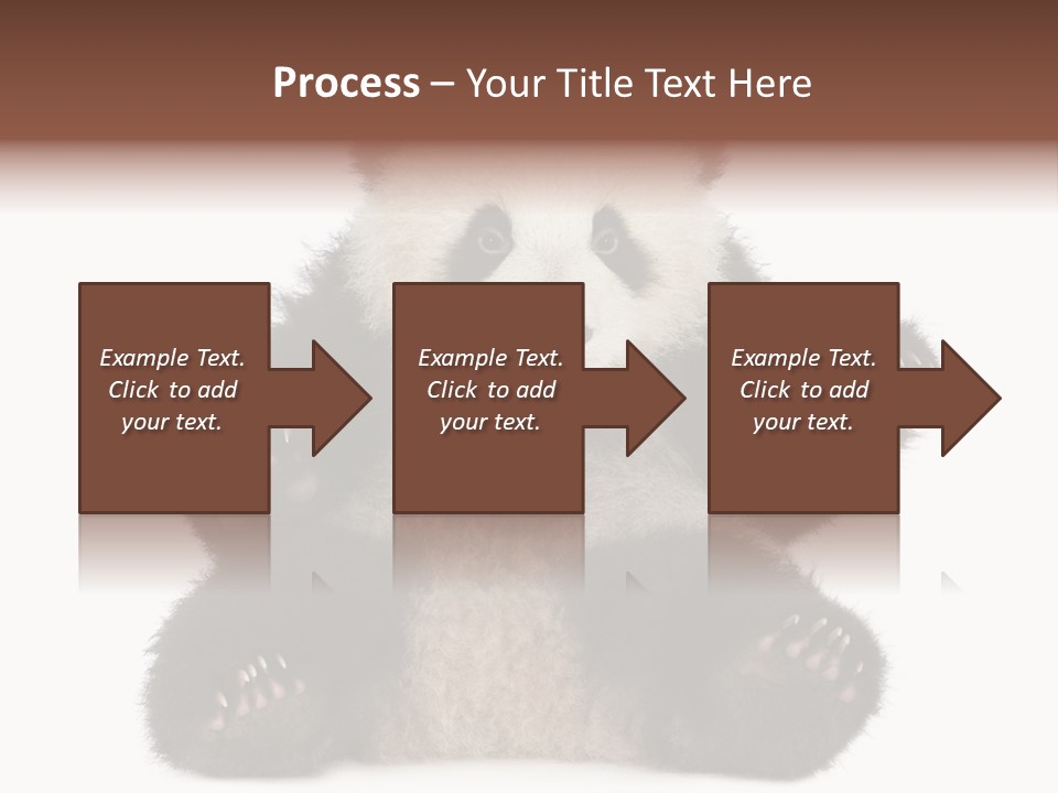 Cuddly China Ursidae PowerPoint Template