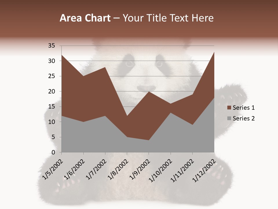 Cuddly China Ursidae PowerPoint Template
