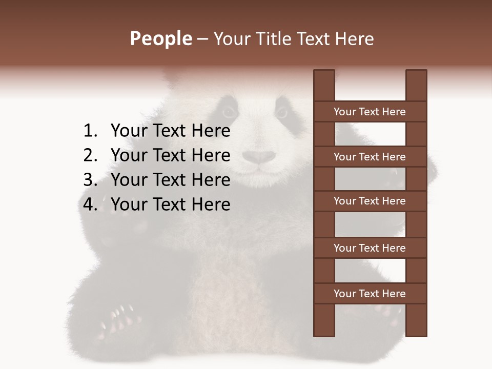 Cuddly China Ursidae PowerPoint Template