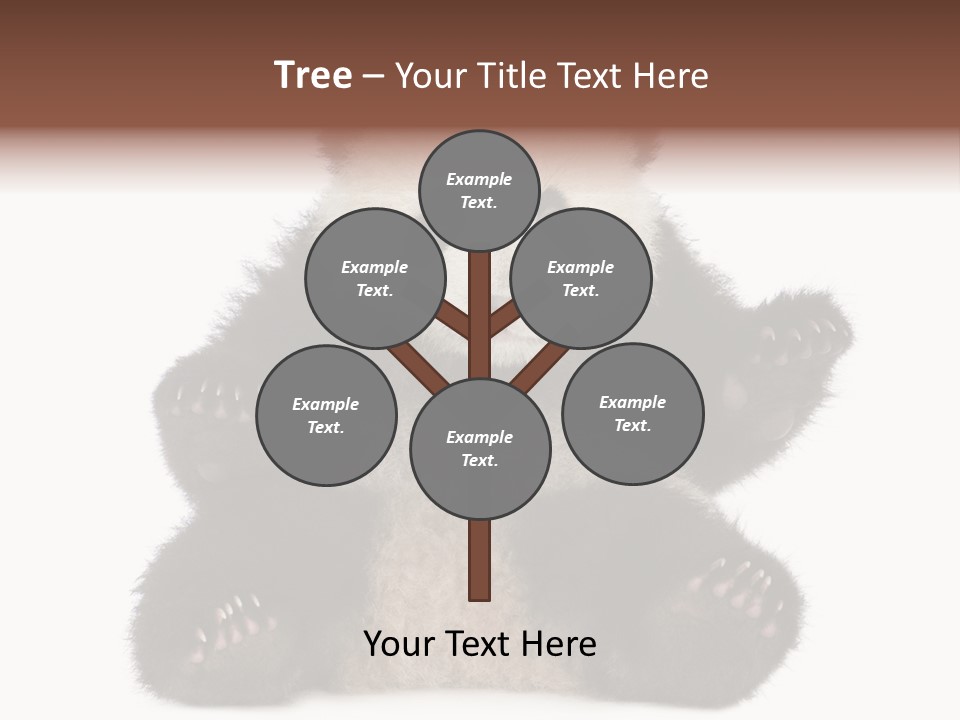 Cuddly China Ursidae PowerPoint Template