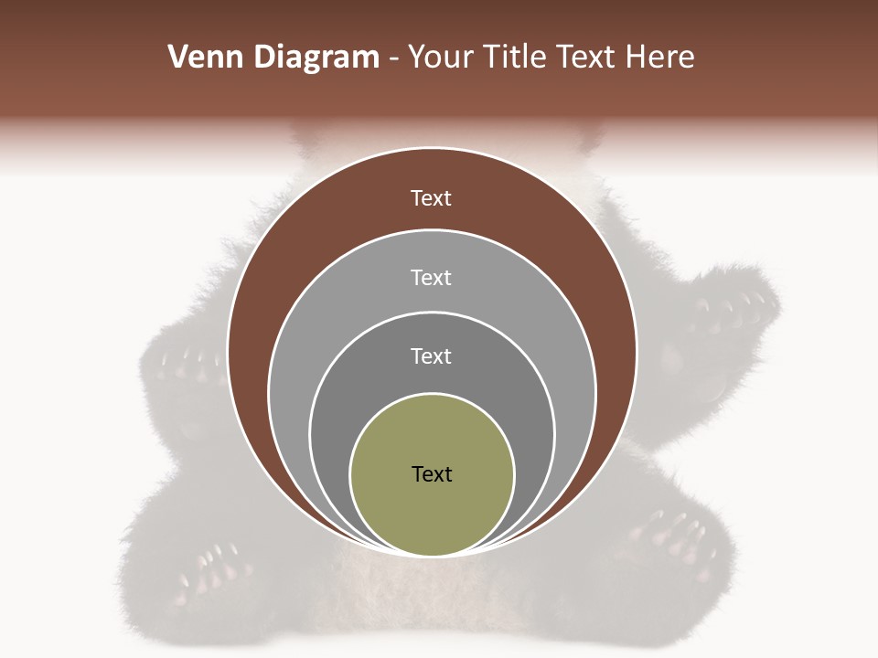 Cuddly China Ursidae PowerPoint Template