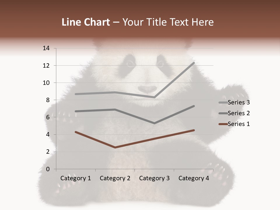 Cuddly China Ursidae PowerPoint Template