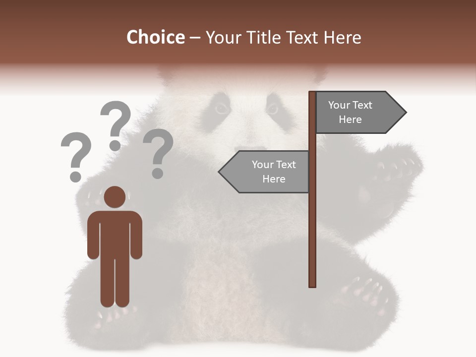 Cuddly China Ursidae PowerPoint Template